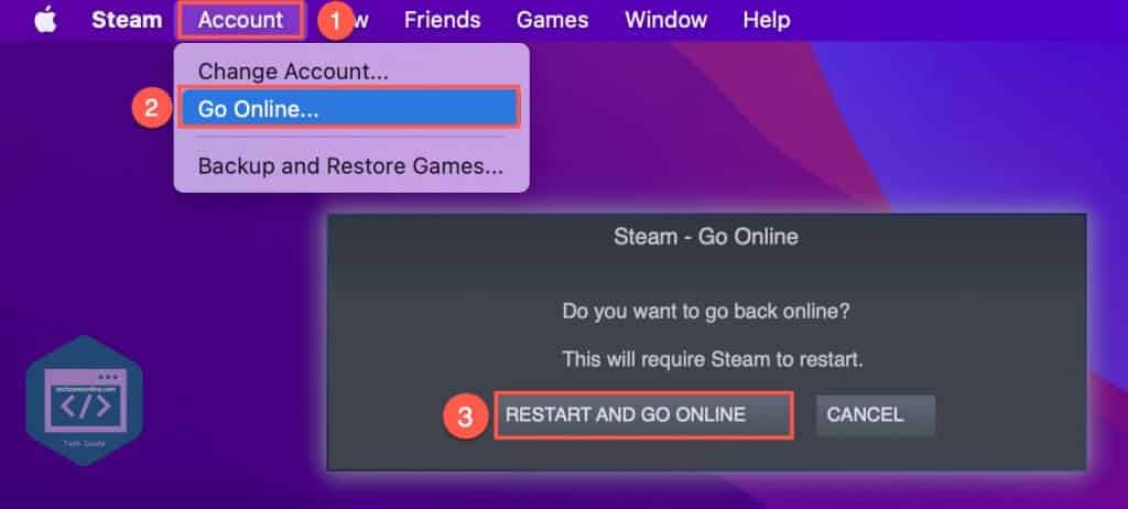 Steam go online